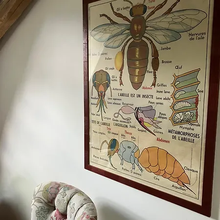 D'hotes La Massonniere Avec Grand Jardin - Ideal Familles, Groupes Et Sejour Nature - Sarthe