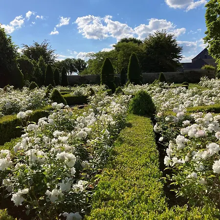 D'hotes La Massonniere Avec Grand Jardin - Ideal Familles, Groupes Et Sejour Nature - Sarthe Гостевой дом