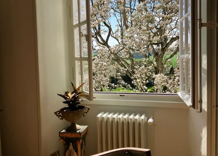 D'hotes La Massonniere Avec Grand Jardin - Ideal Familles, Groupes Et Sejour Nature - Sarthe Saint-Christophe-en-Champagne