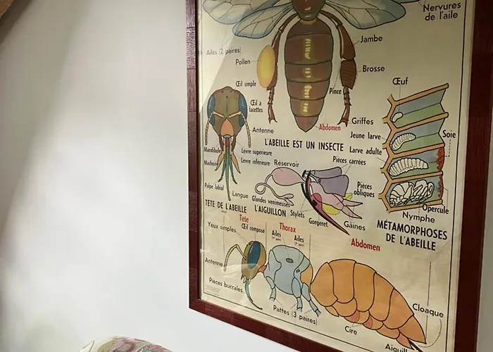 D'hotes La Massonniere Avec Grand Jardin - Ideal Familles, Groupes Et Sejour Nature - Sarthe